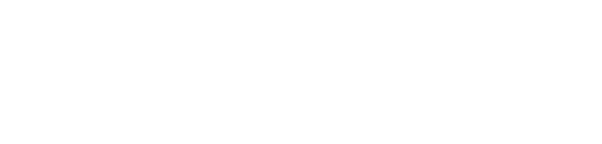 Team Cleaning Logo White